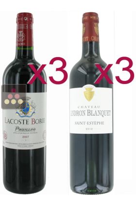 Sélection de 6 Vins Rouges - Pauillac et Saint Estèphe