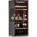Dual temperature wine cabinet for storage and service ACI-CAL203P