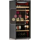 Multi temperature wine service and storage cabinet  ACI-CAL204V