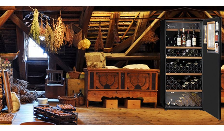 Cave à vin Multi-usages de conservation, de service des vins chambrés et des vins frais