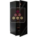 Single temperature wine ageing cabinet ACI-AVI424-2-M