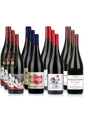 Lot de 12 bouteilles de Vin Rouge - Beaujolais Nouveau - 2022 0,75 L 