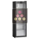 Freestanding professional refrigerator - Glass door with LED - 286L ACI-LIP152