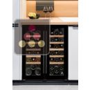 Built-in dual temperature wine cabinet for service ACI-CLI340E