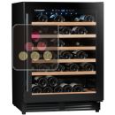 Single temperature wine cabinet for service ACI-CLI584