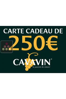 Carte Cadeau CAVAVIN 250€ du 04/04/2025 au 31/05/2025 suivant conditions