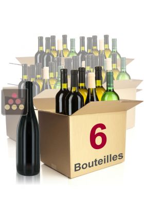 6 bouteilles de vin : vins blancs et rouges