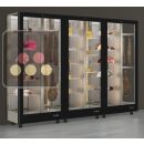 Combination of 3 modular refrigerated display cabinet - Cheese and cured meat ACI-TMR36900