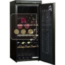 Single temperature wine ageing cabinet ACI-AVI413