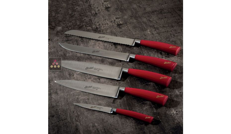 Le lot de 5 couteaux + le range-couteaux pour tiroir