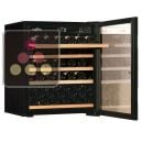 Single-temperature wine cabinet for ageing & storage ACI-TRT103
