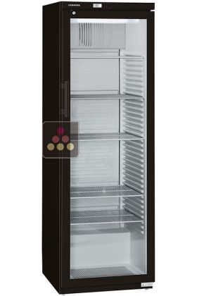 Armoire positive ventilée noire - Porte vitrée - 359L