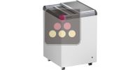 LIEBHERR PRO GLACE ACI-LIP300