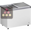 Conservateur négatif statique - 252L - Couvercles pleins coulissants ACI-LIP302