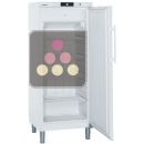 Freestanding professional No Frost freezer - 325L ACI-LIP220