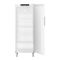 Armoire positive ventilée GN 2/1 - Cuve ABS - 479L