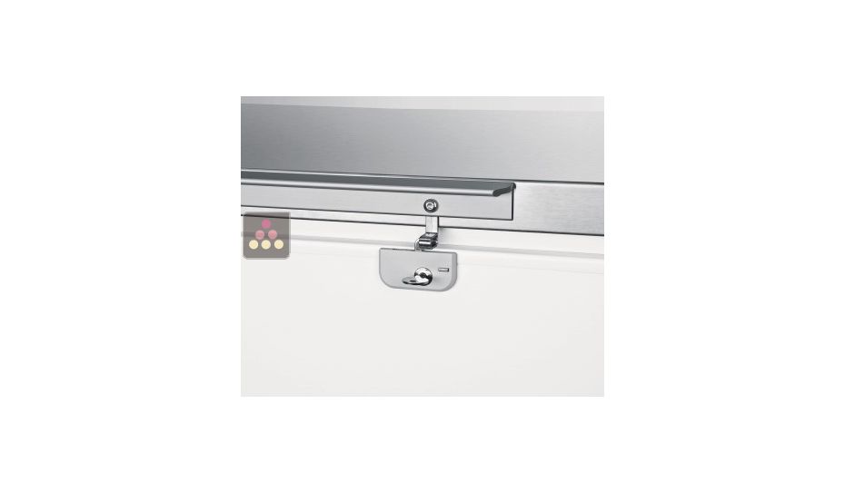 Conservateur-coffre négatif statique - 460L - Couvercle Inox