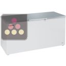 Conservateur-coffre négatif statique - 571L - Couvercle Inox ACI-LIP332X