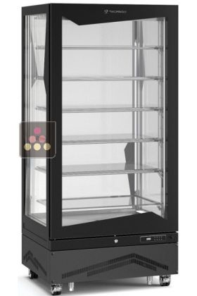 Vitrine verticale négative ventilée - 650L