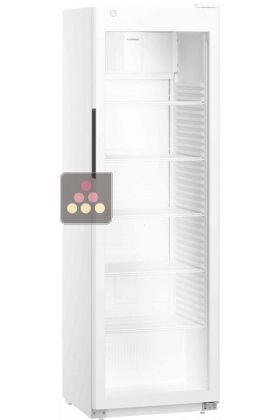 Armoire positive ventilée blanche - Porte vitrée - 286L