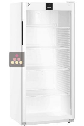 Armoire positive ventilée blanche - Porte vitrée et éclairage LED latéral - 432L