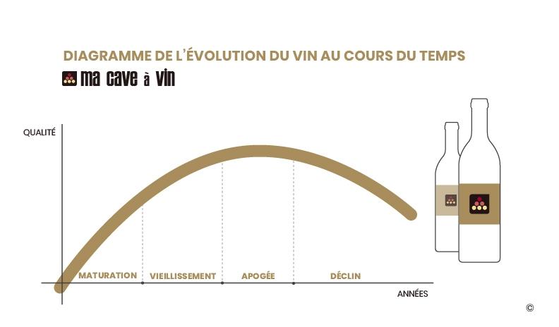 évolution du vin dans le temps